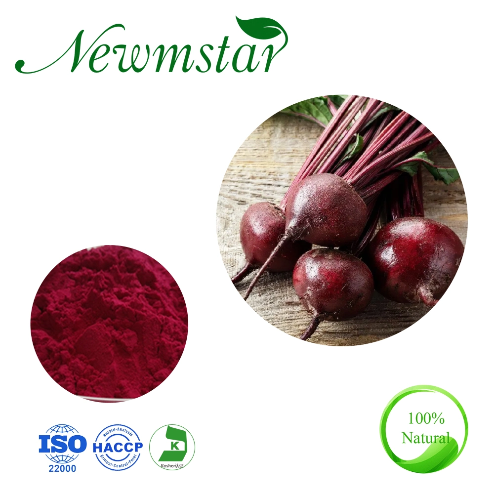 ISO Certified Plant Extract/ Organic Beetroot Extract / Betaine Beet Root Extract / for Lowering High Blood Pressure