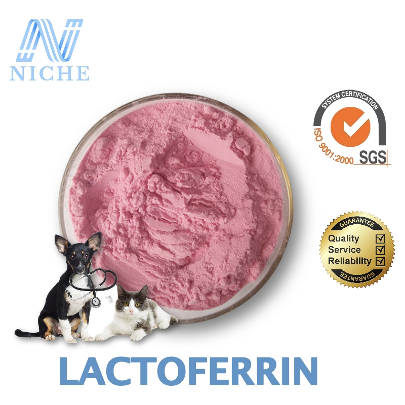 Food Grade Fight Infections Pet Supplements Niche Pet Drugs Lactoferrin Wholesales CAS: 112163-33-4