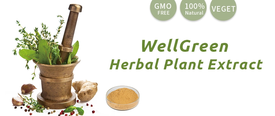 OEM Service Private Label Bulk Food Herbal Supplement Moringa Leaf Powder