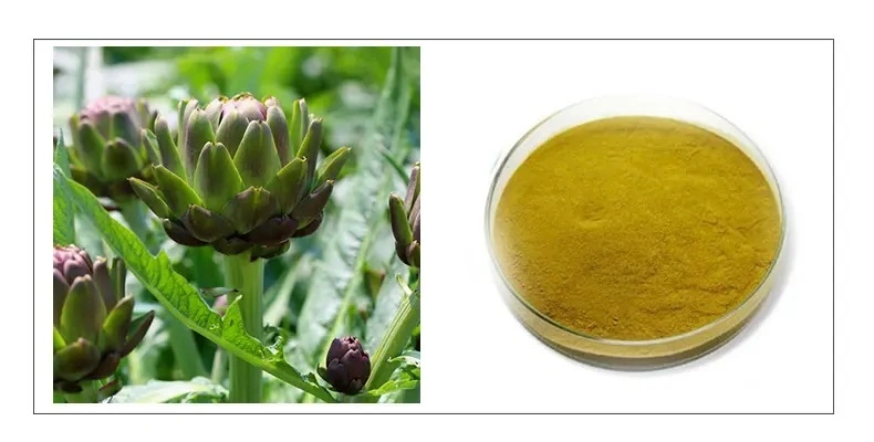 E. K Herb Kosher &amp; Halal Certified Plant Extract Factory100% Natural High Purity Nutritional Supplement Artichoke Extract Herbal Medicine Organic Artichoke