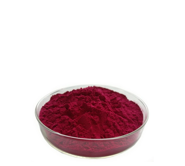 ISO Certified Plant Extract/ Organic Beetroot Extract / Betaine Beet Root Extract / for Lowering High Blood Pressure