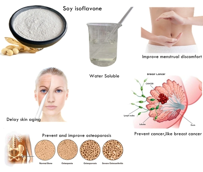 Healthcare Products Phytoestrogens Soybean Extract Isoflavones