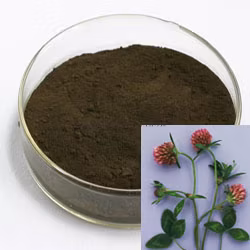 Red Clover Extract Trifolium Pretense L. with 8% Isoflavones