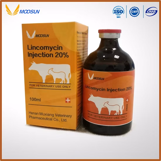 High Quality Cefquinome Sulfate Injection, Pet Drugs, Antiviral Drugs, Veterinary Drug, Pet Medicine. for Cat Dogs.