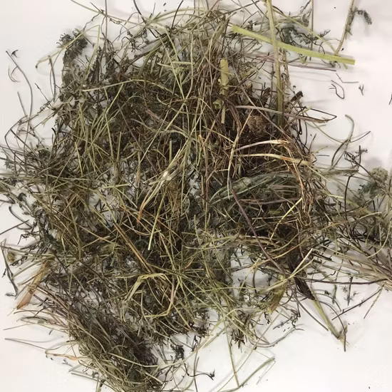 E. K Herb Kosher & Halal Certified Plant Extract Factory100% Natural High Purity Nutritional Supplement Artichoke Extract Herbal Medicine Organic Artichoke