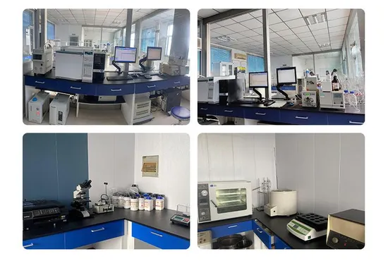 High Grade Natural Sweetener Monk Fruit Extract Powder Luo Han Guo Powder Monk Fruit Sweetener