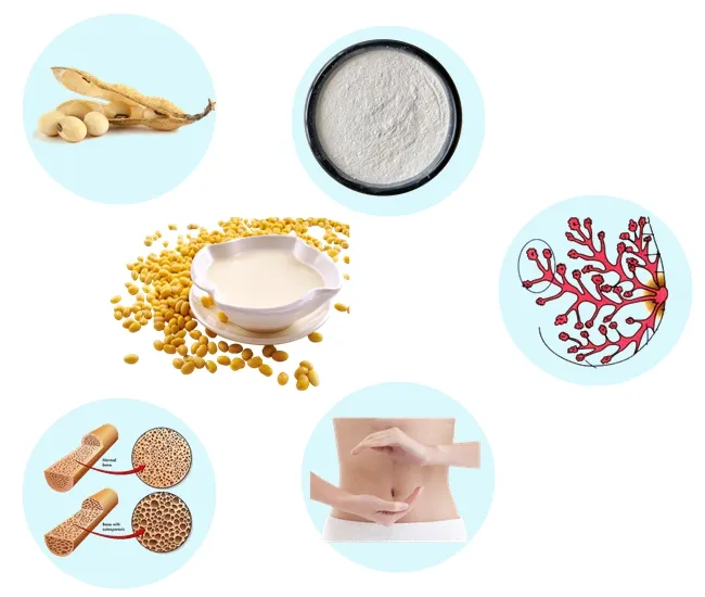 Healthcare Products Phytoestrogens Soybean Extract Isoflavones